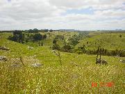 The Australian country side is very beautiful.  The valley's and all the bright green grass.  I am going to miss being here when I go home.  